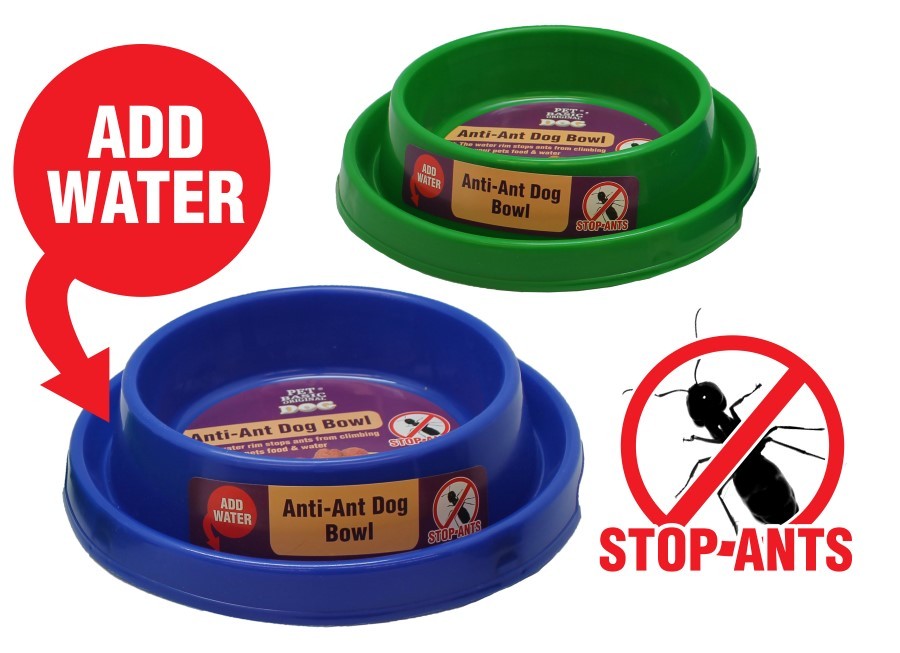 anti ant pet bowl