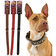 Dog Collar With Metal Studs 60cm x 3cm