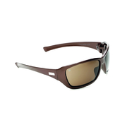Pro Choice X Series Safety Specs Brown
