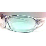 Pro Choice Richter Safety Glasses Clear Anti Scratch Anti Fog