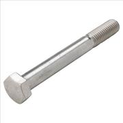 Stainless Steel 304 Hex Bolt M12 x  65mm