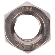 Stainless Steel 316 Hex Nut M16