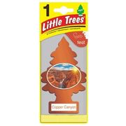 Little Trees Air Freshener Copper Canyon