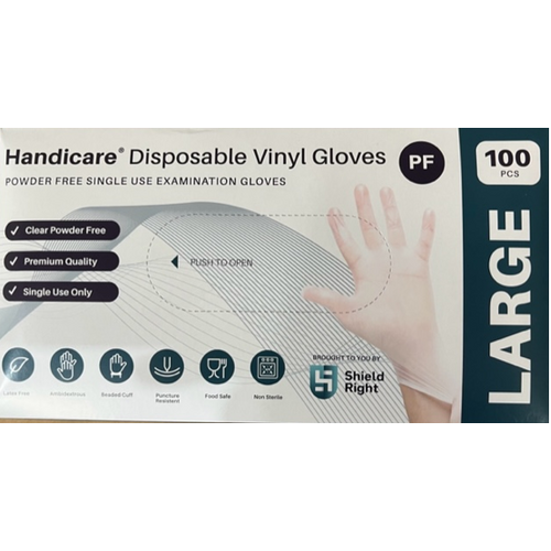 Vinyl Gloves Large 100pc