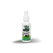 Hand & Surface Sanitiser - 125ml