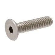 Stainless Steel 304 Flat Socket Cap Screw M10 x 30mm