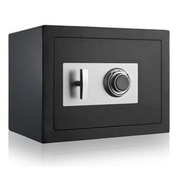 DSP-WILDCAT FIREPROOF COMBIN SAFE