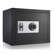DSP-LYNX FIREPROOF COMBIN SAFE
