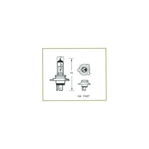 Austa H4 Halogen Globe 12v 60/55w 10pk