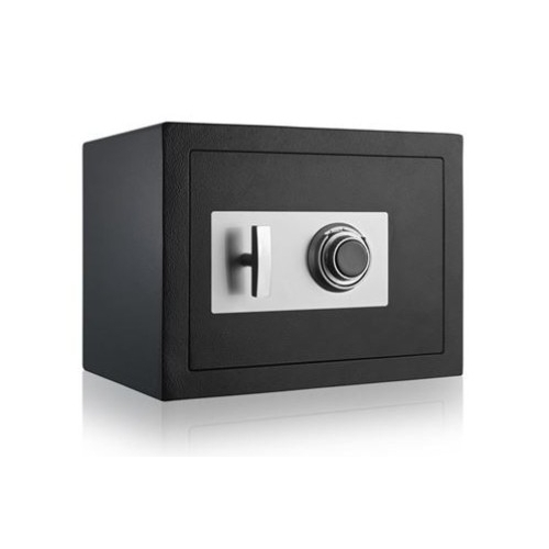 DSP-WILDCAT FIREPROOF COMBIN SAFE