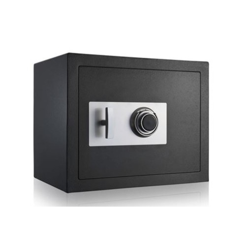 DSP-LYNX FIREPROOF COMBIN SAFE